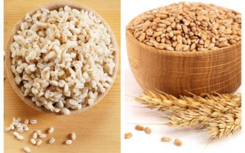 Wheat and Barley Pregnancy Test